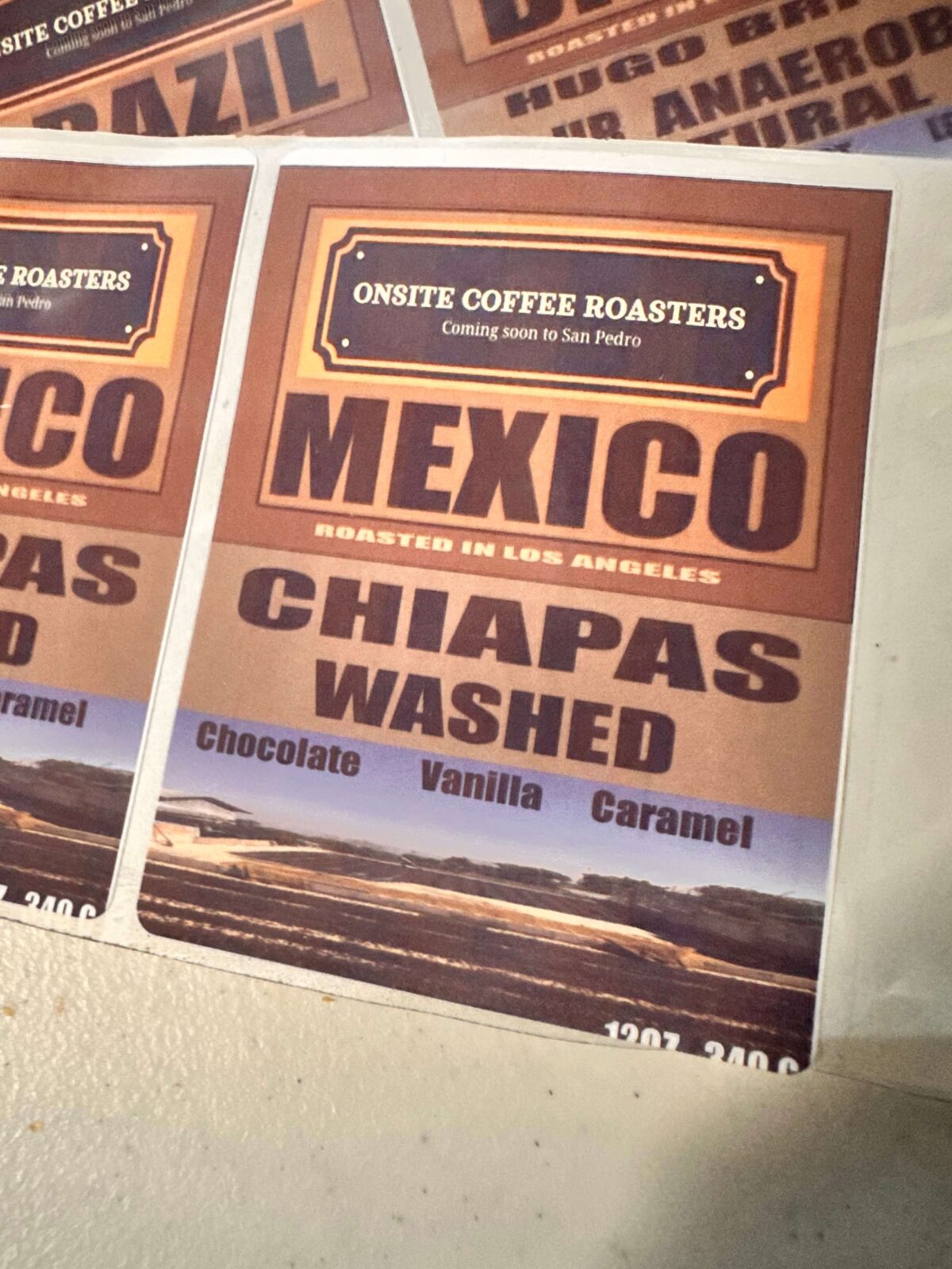 Mexico Chiapas Washed